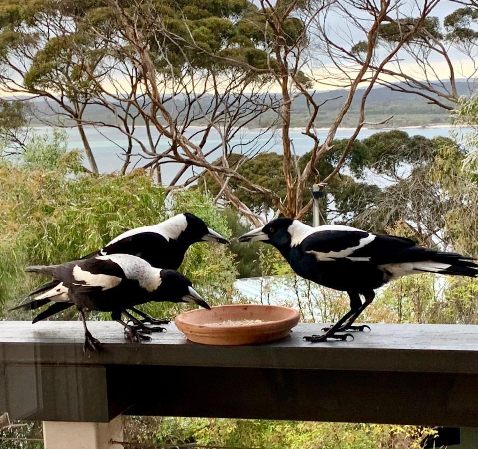 The River Suites, Kangaroo Island American River Ngoại thất bức ảnh